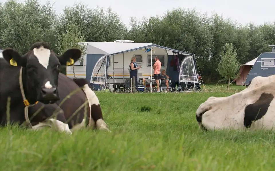 BBB wil regels kamperen bij Friese boer versoepelen: aantal plekken naar 45