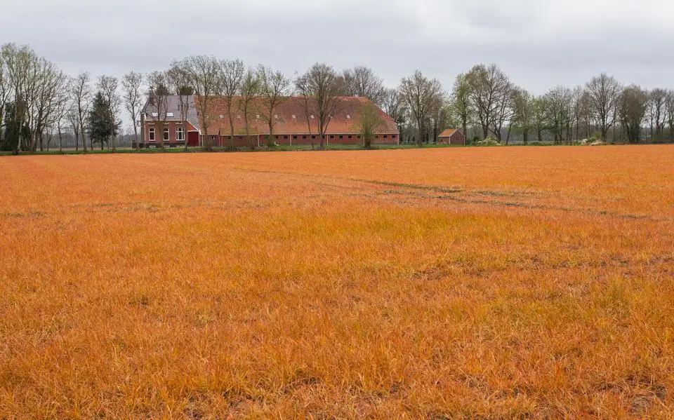 Landbouwgif is overal maar concrete maatregelen blijven uit. We moeten zelf in actie komen | LC commentaar