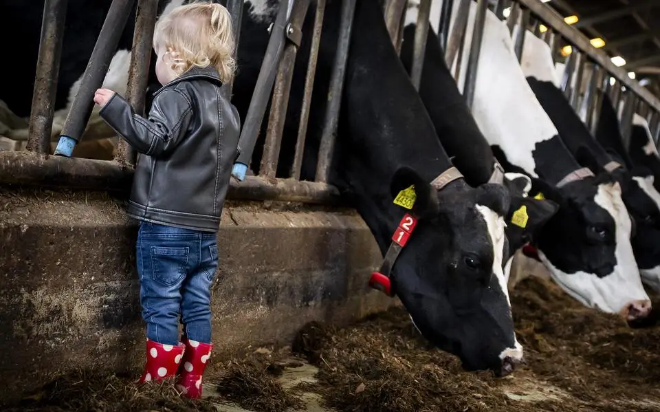 Haal gebiedsplannen weer uit de kabinetslade | opinie