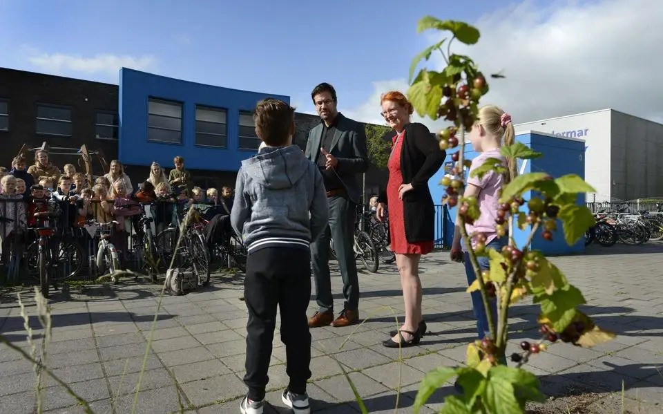 Leerlingen IKC Wynwizer uit Leeuwarden maken compost van eigen afval. ‘Mogen we aardappelschillen van thuis meenemen?’