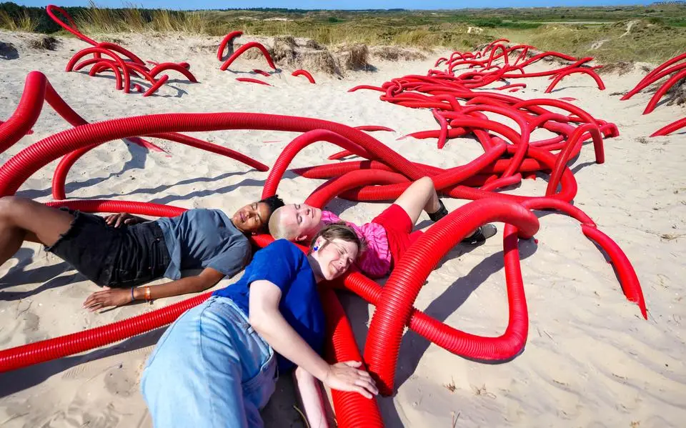 ‘Spreken tegen de wind in’: Oerol-installatie over de drie Terschellinger dialecten. Op het snijvlak van woordkunst en beeldende kunst