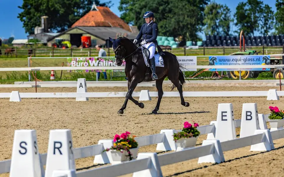 Van bixie tot subtopwedstrijden, het Heamielconcours heeft het allemaal