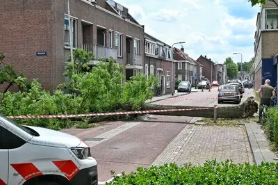 Boom valt om tegen woning in Tilburg, fietser ternauwernood ontsnapt