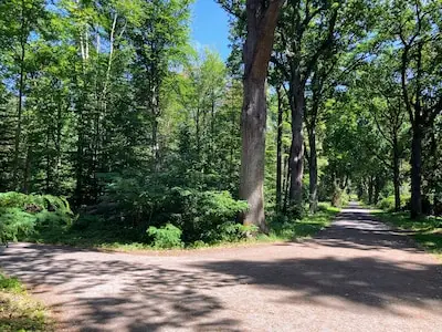 Eindhoven stopt met gebruik van staalslakken: dit park springt eruit