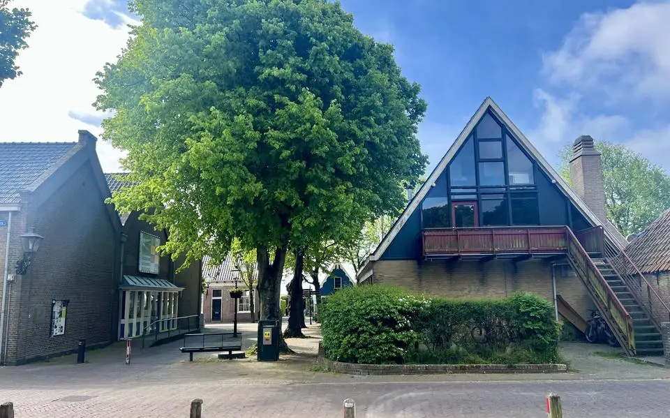 Vlielanders op de bres voor vier oude bomen. ‘Kap betekent onherstelbaar verlies’