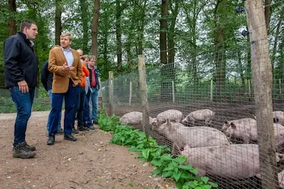 Stichting Herenboeren is failliet, maar deelnemende boerderijen kunnen door