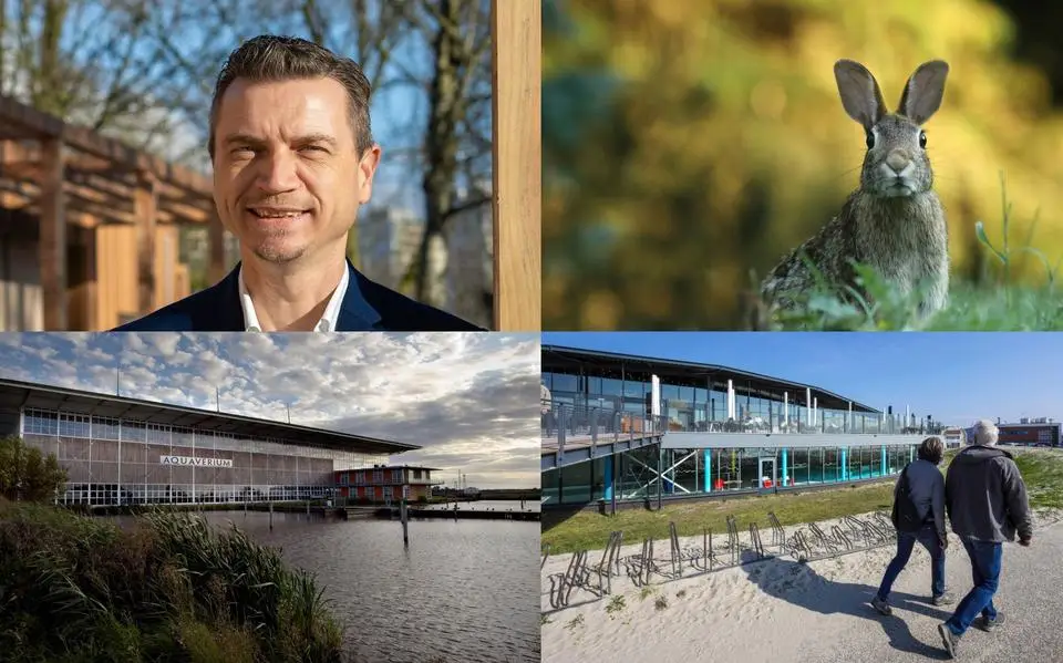 Wethouder Jelle Zoetendal vertrekt na ruim tien jaar uit Heerenveen &amp; konijnen vallen bij bosjes om op recreatiepark in Makkum | nieuws uit Friesland van 24 juni
