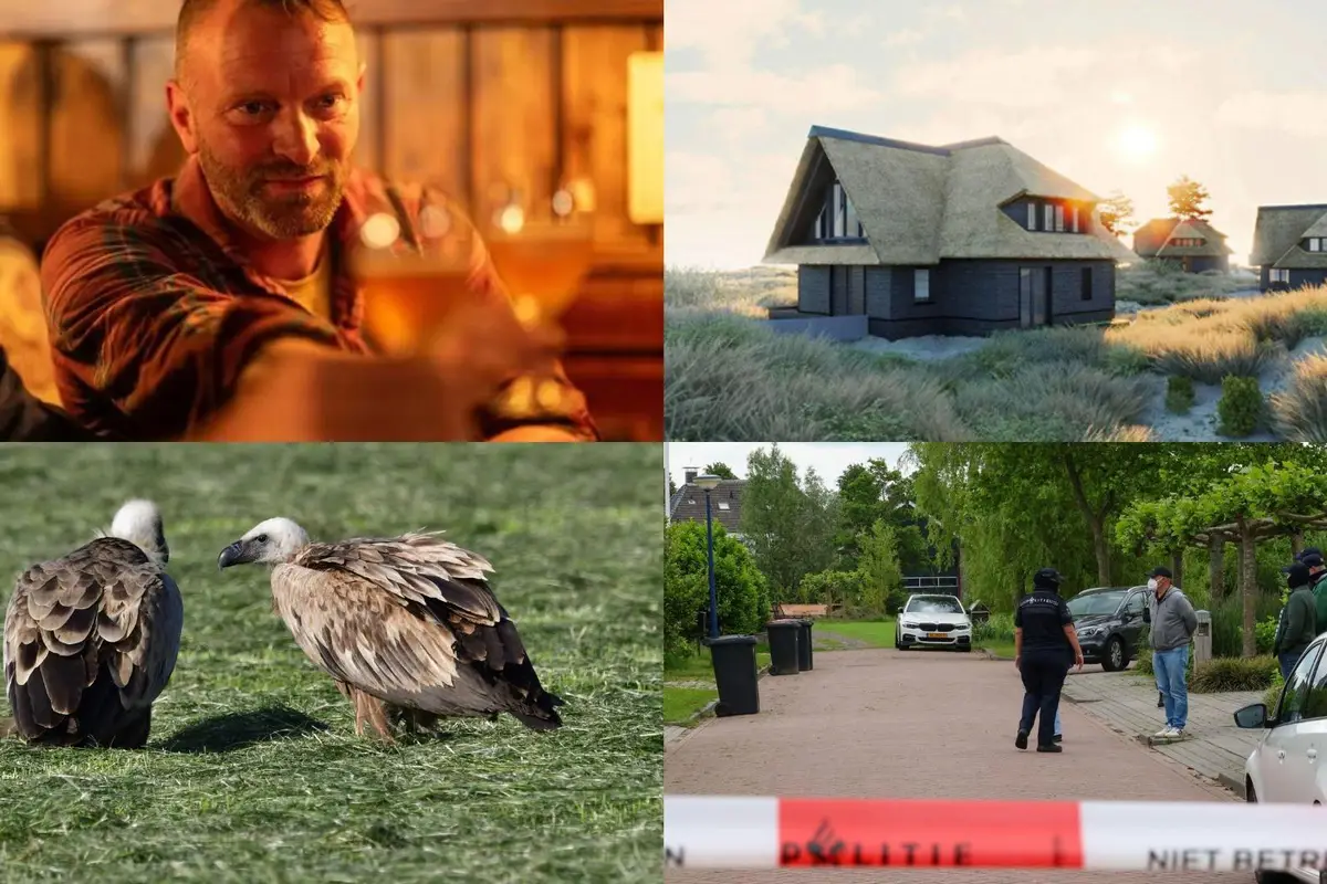 Ameland procedeert door tegen zwembad onder luxe duinvilla’s &amp; drukte van belang bij Wommels vanwege vale gier | nieuws uit Friesland van 13 juni