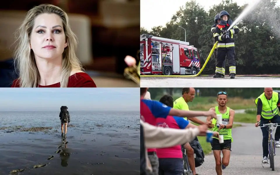 Oplossing bouwcrisis ligt in Friesland &amp; wadloopgids laat vogeltellers alleen naar de wal lopen | nieuws uit Friesland van 19 juni