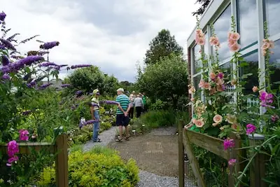 Open dag in vlindertuin Eindhoven