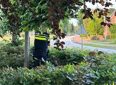 Met 95 kilometer per uur over de weg tussen Best en Sint-Oedenrode: op de bon na flitsactie van politie