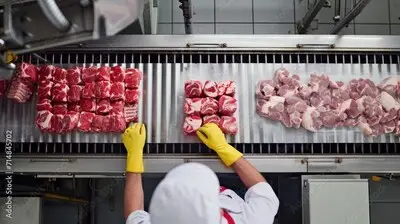 13 Roemenen uitgebuit door uitzendbureau Brabantse vleesindustrie