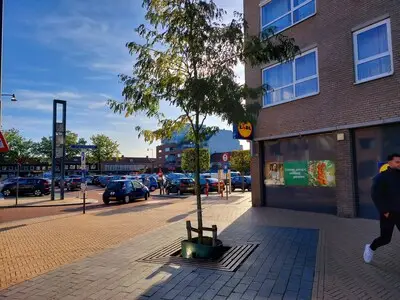 Wethouder: onrust over vermeende sloopplannen Wilhelminadorp Best is ‘onnodig’