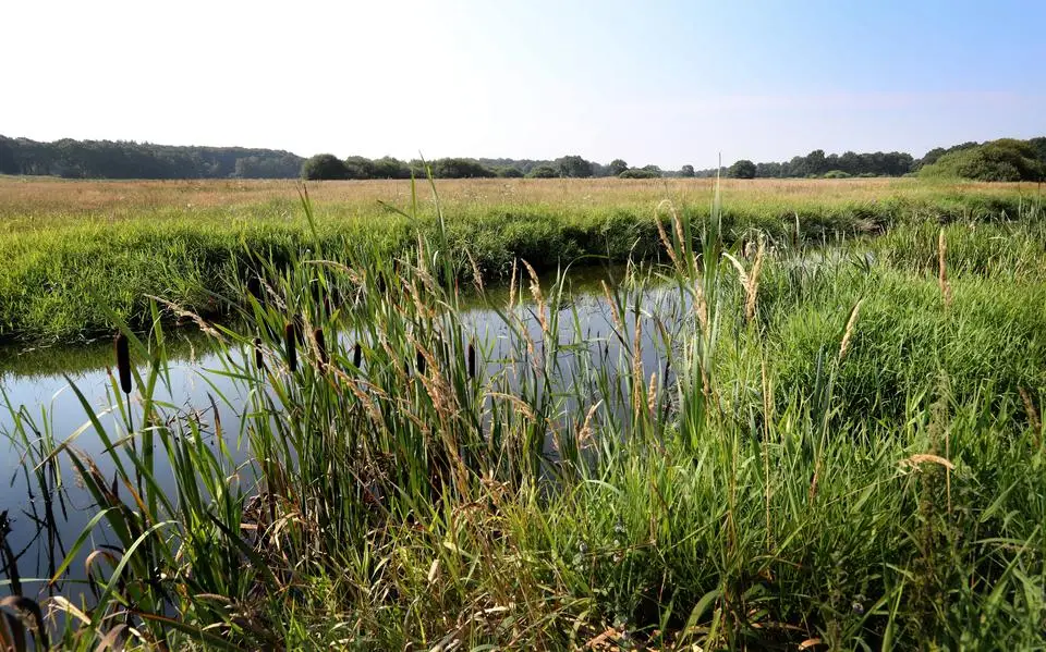 Rijksadviseur: draai bezuiniging nationale parken terug
