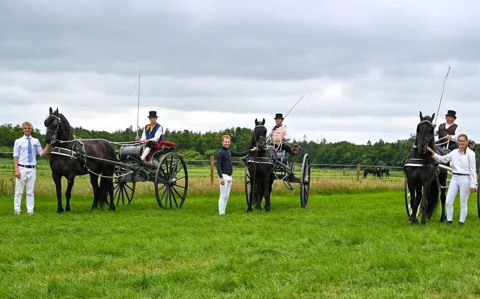Drie generaties tegelijk actief in de Friese tuigpaardensport