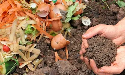 Gemeente Cranendonck biedt korting op compostvat