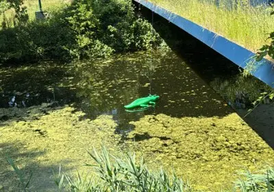 Vrouw spot krokodil in kanaal bij Mierlo en schrikt zich een hoedje, brandweer kan haar geruststellen
