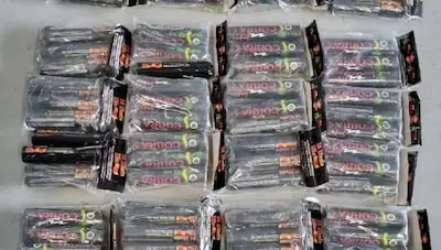 Drie jaar cel voor Eindhovenaar met 372 cobra’s in schuurtje: ‘Kratergevaar in woonwijk’