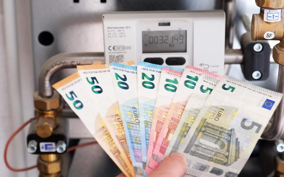 Front energiebedrijven schakelt voor pieken op stroomnet hulp klant in: ’Tot 1000 euro korting op thuisbatterij’