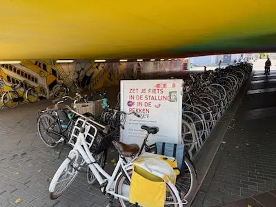 Fiets verkeerd stallen rond station kost je 20 euro, gemeente Eindhoven verwijderde al duizenden fietsen