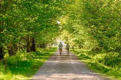 Grensparkwandeling vanuit Bladel