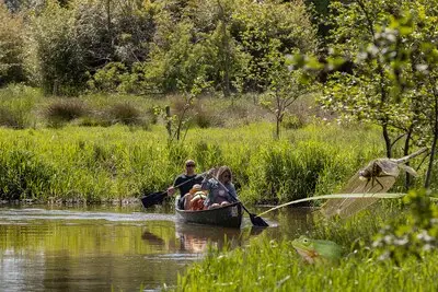 Hoe schadelijk zijn de lozingen van Nyrstar eigenlijk? Onderzoek naar leven in de Dommel
