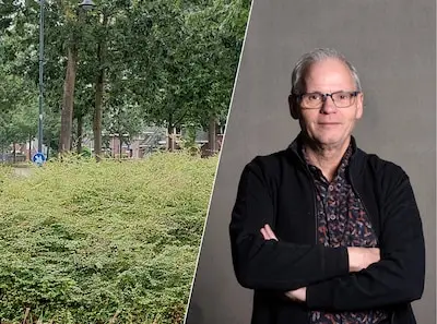 Deze week in Helmond: waarom woekert het onkruid, workshops rouwverwerking en een Helmonder die in zijn vrije tijd markten regelt