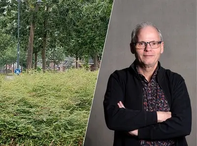 Deze week in Helmond: waarom woekert het onkruid, workshops rouwverwerking en een Helmonder die in zijn vrije tijd markten opbouwt