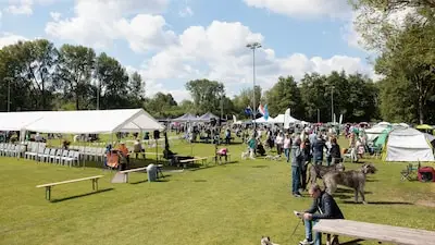 Internationale hondenshow in Geldrop dit weekend