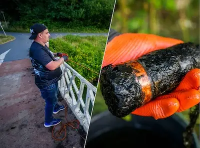 Magneetvisser Kevin haalt explosief uit Tweede Wereldoorlog boven water