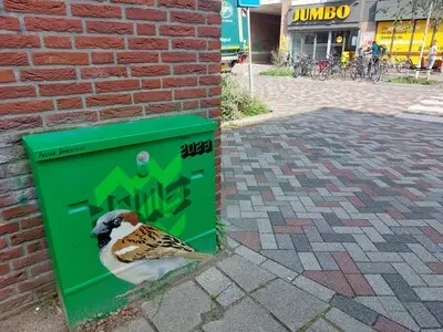 Pinksteren 2025 in Eindhoven: check hier de openingstijden van de supermarkten