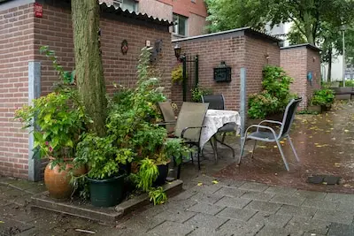 Heeze-Leende biedt vouchers voor vergroening