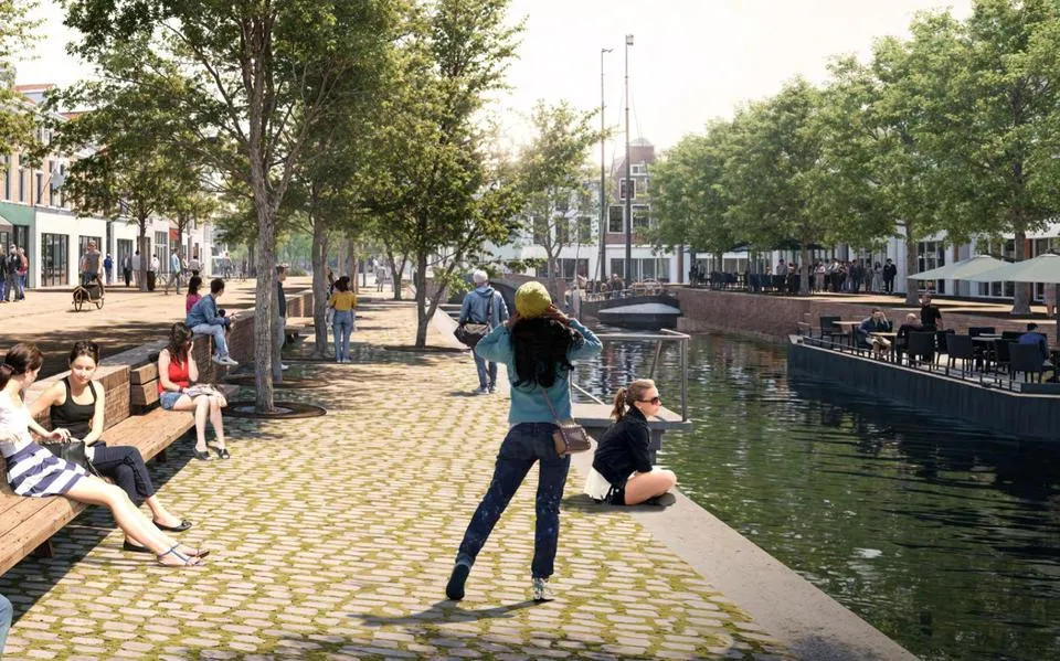 Waarom worden tientallen bomen op Nieuwestad in Leeuwarden gekapt of verplaatst?