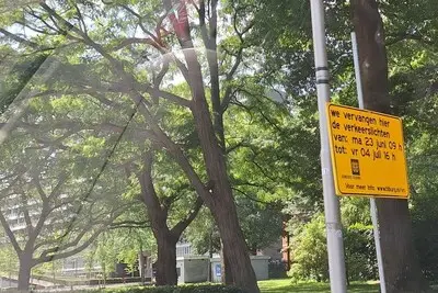Ho stop! Er komen nieuwe verkeerslichten in Tilburg en dit merk je ervan
