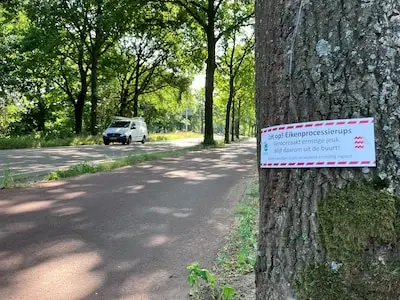 Jeukrups lijkt bezig met voorzichtige comeback: ‘Aandacht van gemeenten mag niet verslappen’