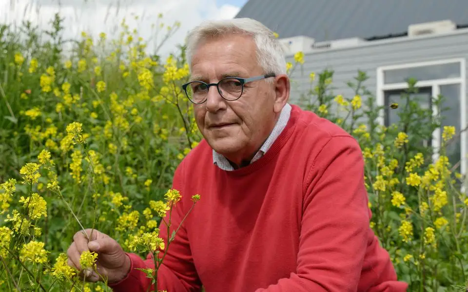 Innovatieman Piet Zijlstra heeft haast - ‘We moeten nú in actie komen’