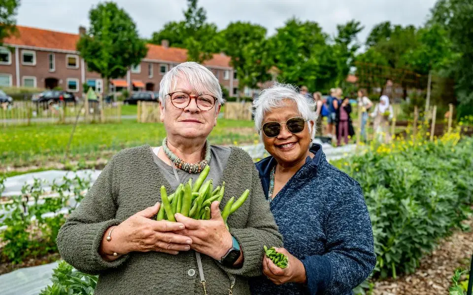 Gratis groente en fruit plukken mag in 2 nieuwe sociale wijktuinen Leeuwarden: zaterdag gingen ze officieel open