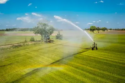 Sproeiverbod voor meerdere plekken in Brabant: ‘Stel niet noodzakelijk werk uit’