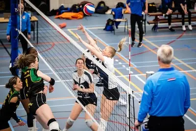 Meer teams dan ooit bij Ledûb Volleybal Festival in Budel