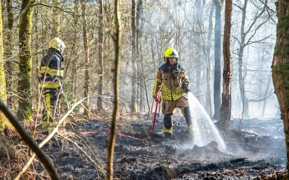 Extreme drukte voor Friese brandweer dit voorjaar: meer dan honderd keer vaker uitgerukt dan in eerdere jaren