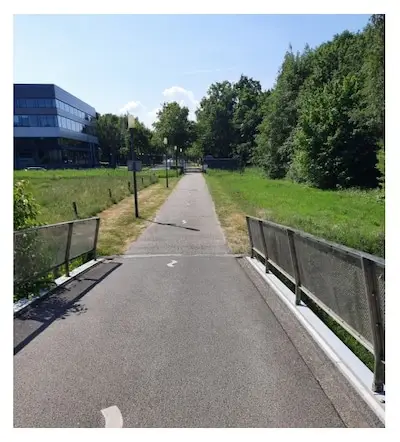 Twijfels over nieuwe brug voor HOV4-bus over Dommel: ‘De natuur kan niet inspreken’