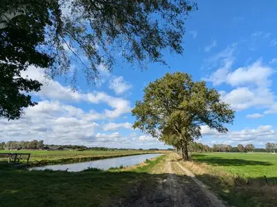 Hoekige beek tussen Nuenen en Son gaat weer kronkelen, kamsalamanders zijn blij