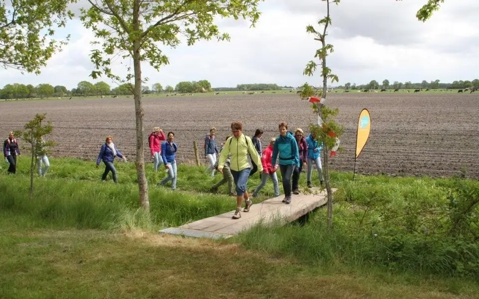 Wandelvierdaagse Bakkeveen: ‘Je ziet de omgeving eens van de andere kant’