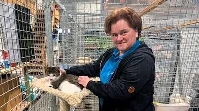 Helmonder Angelique is vrijwilliger in het dierenasiel: 'We vinden regelmatig dozen met kittens'