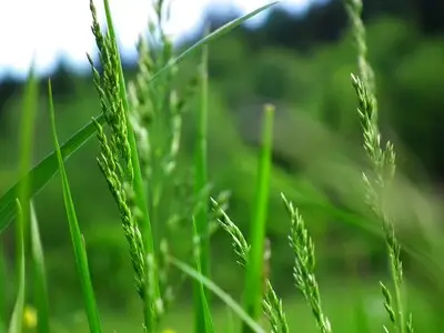 Ontdekkingstocht voor kinderen in natuur bij Aalst