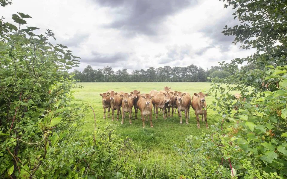 Provincie steekt miljoenen in natuur op boerenland en vernieuwing van de landbouw