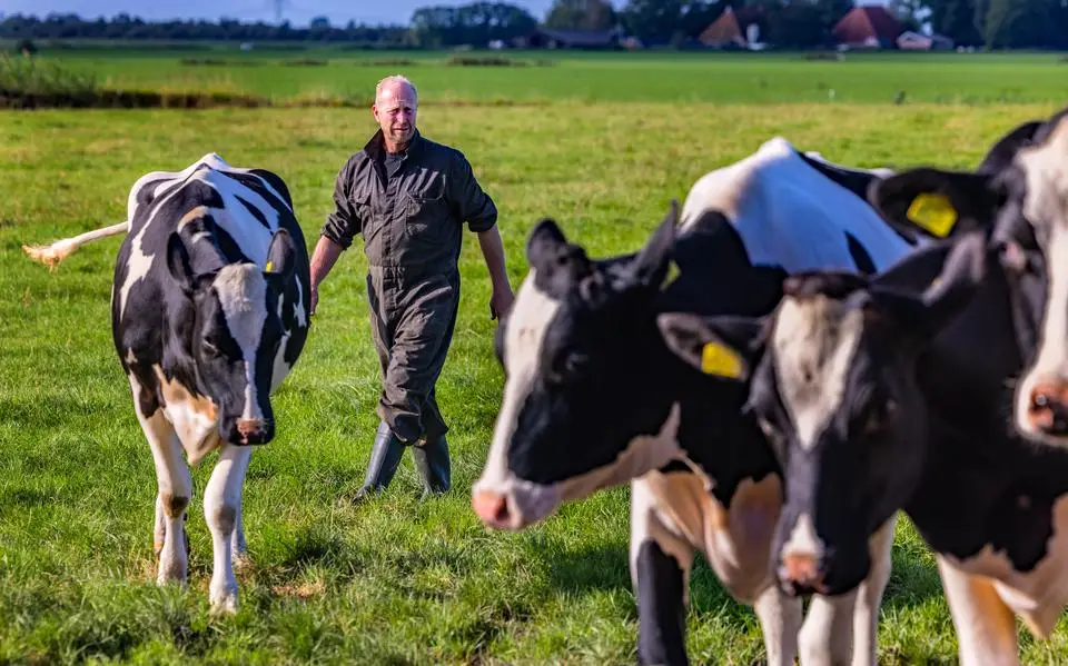 Dwang niet langer taboe in nieuw stikstofplan. ‘Oars krijst it net foarinoar’