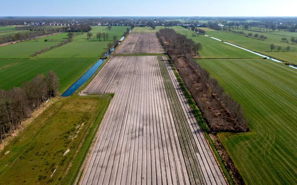Milieuorganisaties en gemeente Opsterland versus de lelieteler. Mag de teler zijn werk afmaken?