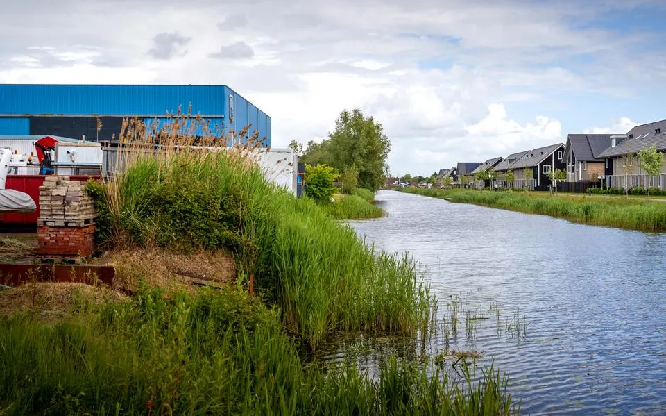 Omwonenden blijven bij ondernemers op de Tussendiepen in Drachten vandaan: ‘Worden honden op je afgestuurd’