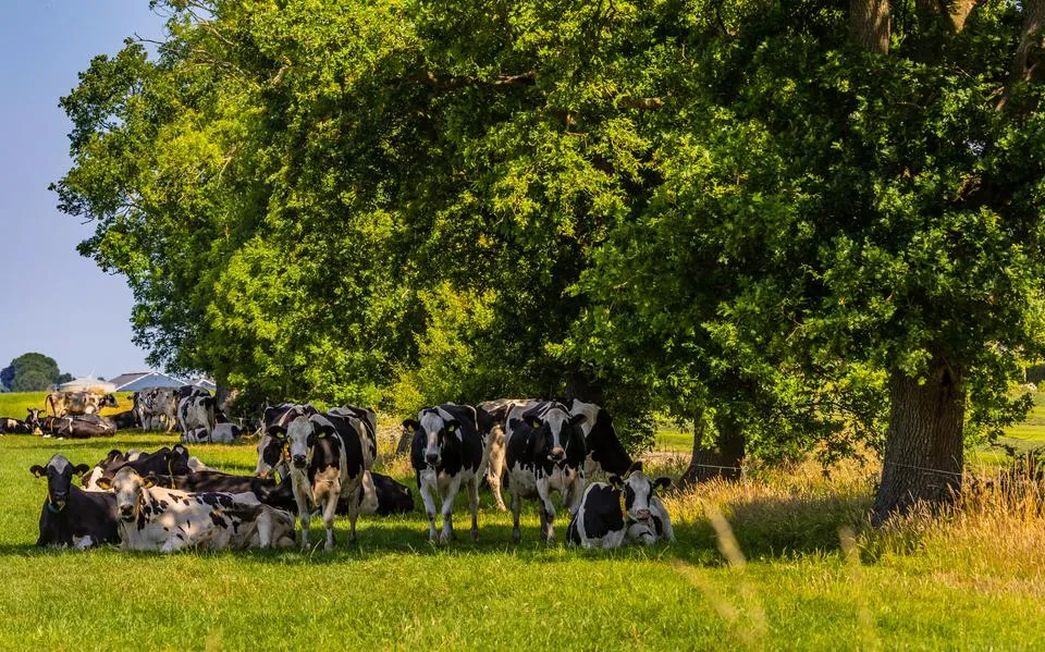 Wat was het warm hè? Laten we het wat vaker over de oorzaak hebben | LC commentaar